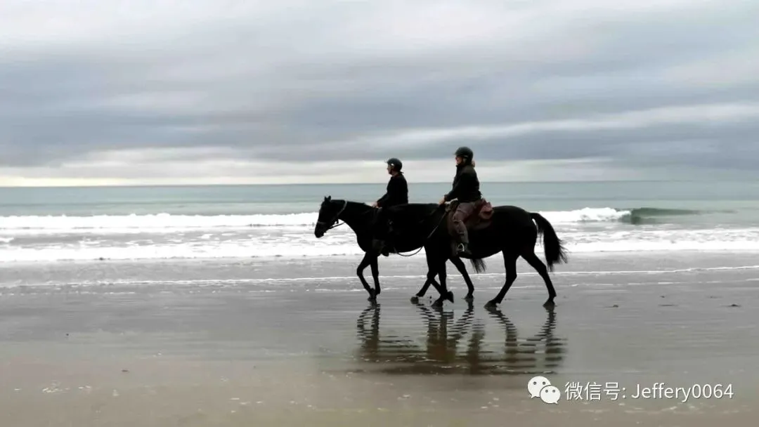 你的远方,是新西兰︱旅游、旅行、游历、漫游、游荡及其他名词解释