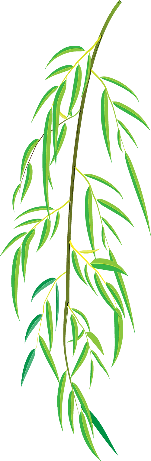 河北一景区官宣:全国游客免门票!