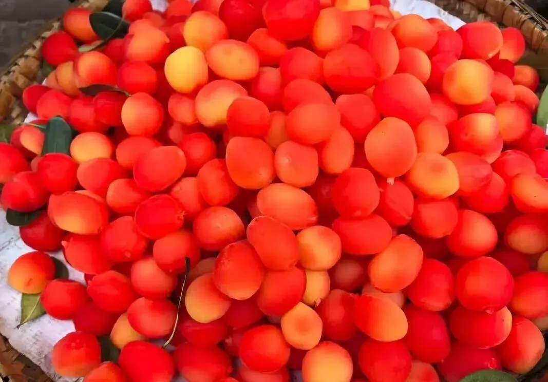 出门旅游时,这5样特色美食最好别买,专坑“外地人”,买了就是上当