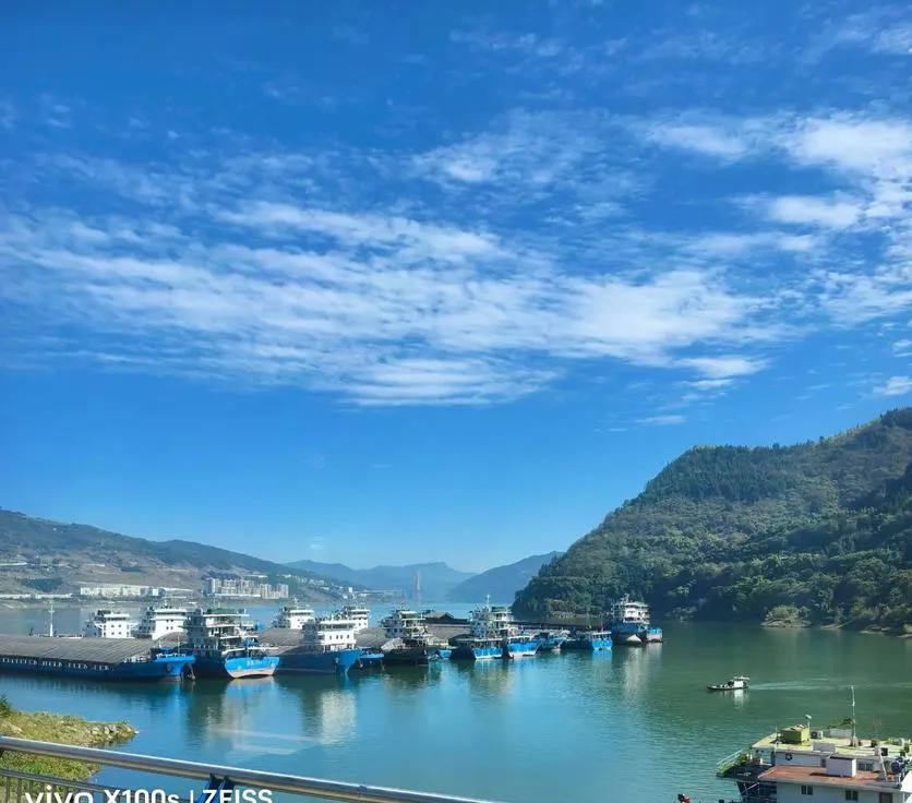 大量荷兰游客涌入云阳,打着旅游的幌子,不逛张飞庙,不吃云阳板栗,为什么?