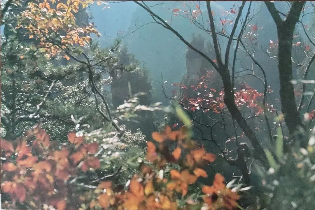 年轻时收藏的明信片|中国旅游出版社出版