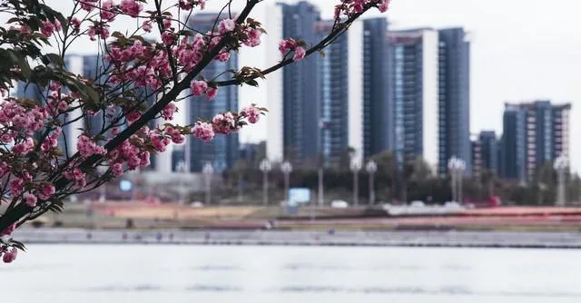 别瞎逛!成都5个独特省心景点,错过要后悔!