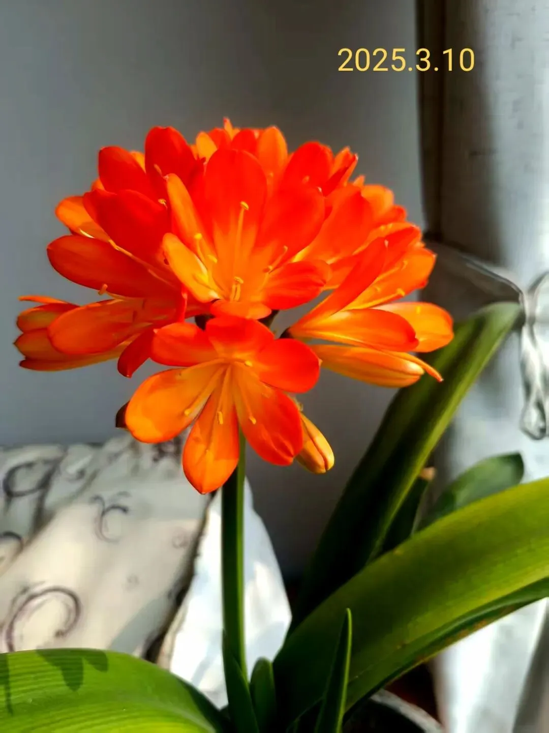 11年前,大孙女4岁时,全家一起去旅游(旧时日记系列 之36)