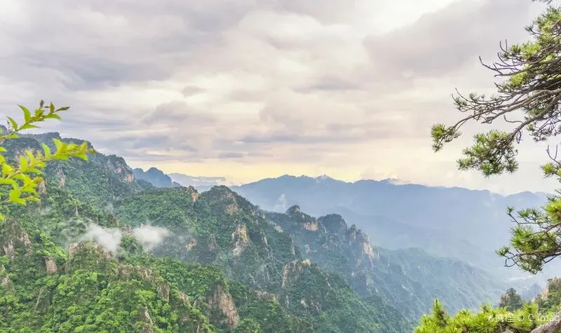 河南·南阳老界岭景区免费啦,可覆盖春假、清明假!