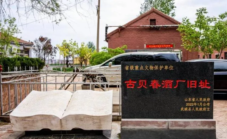 德州武城县旅游攻略必去十大景点推荐,一日游好玩的地方全在这里!