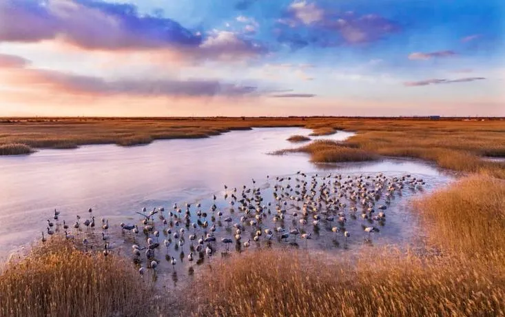 东营垦利区旅游攻略必去十大景点推荐,一日游好玩的地方全在这里!
