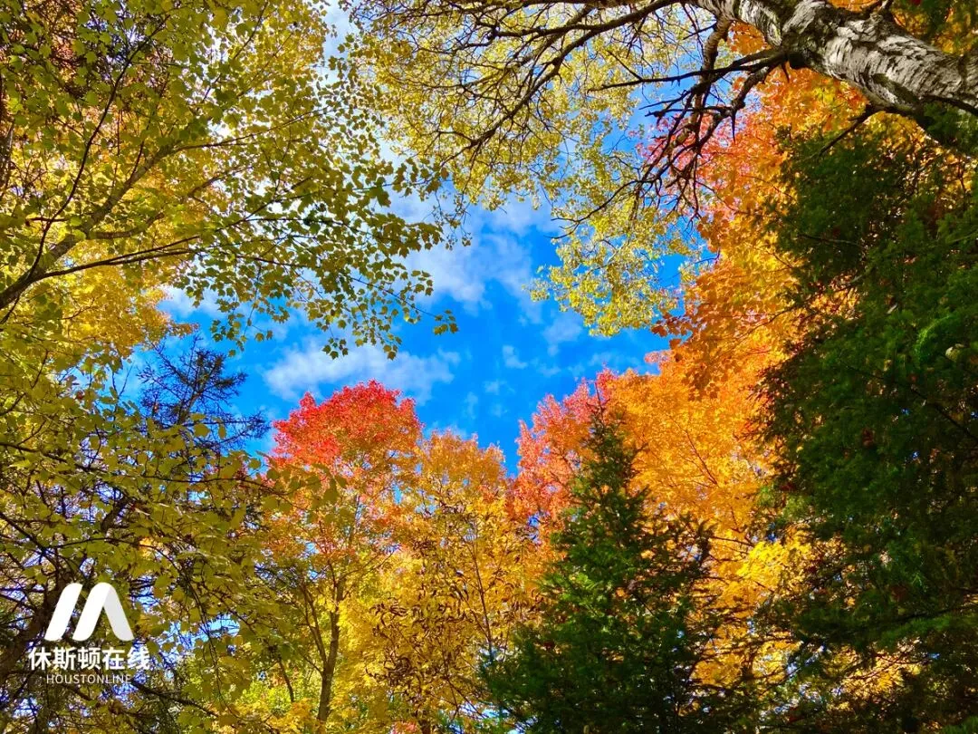 旅行攻略 | 四天狂奔2500公里,追逐美国最美的秋色!