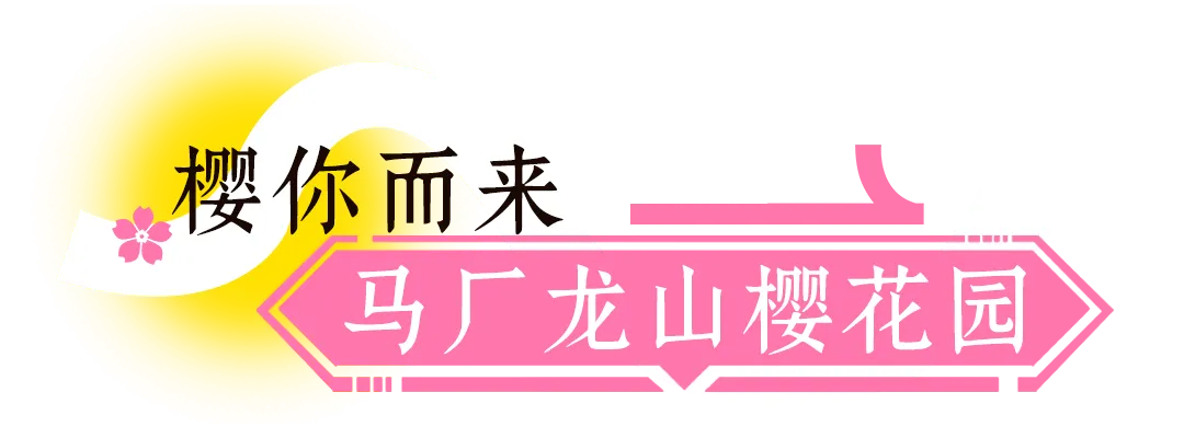 春日出游|马厂樱花节*锦绣太平景区:赏花、看戏一日尽兴