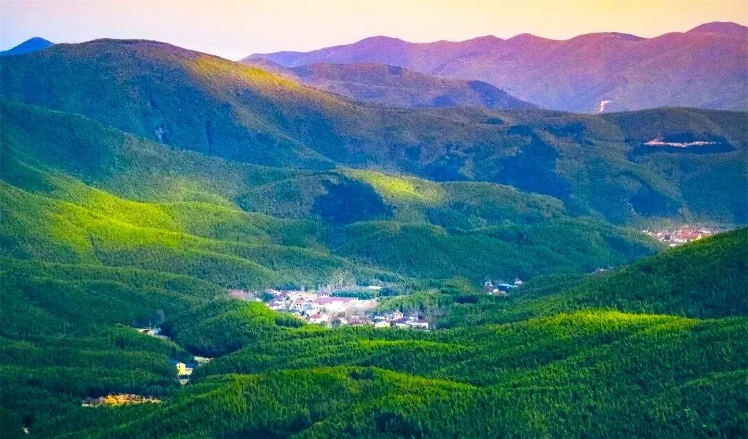 出门即景区,春游季周末不涨价!景区门票/采茶炒茶/挖笋任选,与万顷竹海做邻居!