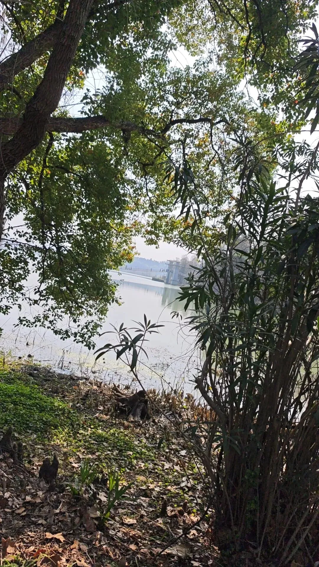 061|第一次到东湖落雁景区