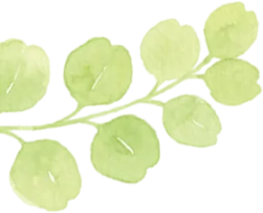 多景区恢复开园、营业时间更新,这份怀柔春日踏青攻略请收好——