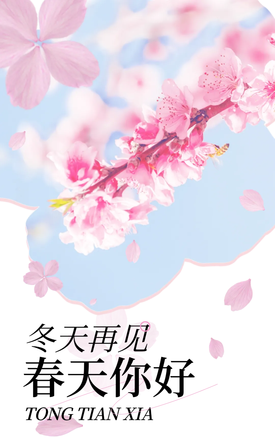 春分到!通天峡景区面向山河四省游客,免门票啦!