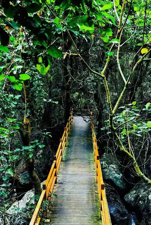 海南白沙县旅游攻略必去十大景点推荐,一日游好玩的地方全在这里!
