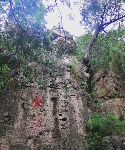 济南平阴县旅游攻略必去十大景点推荐,一日游好玩的地方全在这里!
