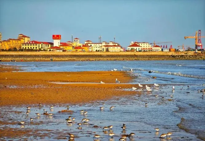 日照岚山区旅游攻略必去十大景点推荐,一日游好玩的地方全在这里!