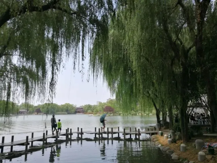 西安旅游超详细攻略--省时、避坑、不绕路!建议收藏