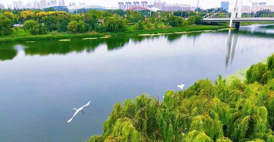 滨州沾化区旅游攻略必去十大景点推荐,一日游好玩的地方全在这里!