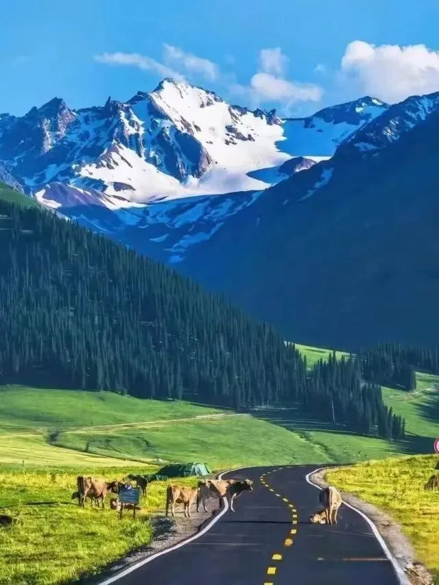 大连出发:六月份的南北疆大环线自由行攻略和预算