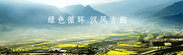 2026最美油菜花海汉中旅游文化节明日启动,最全攻略速看→