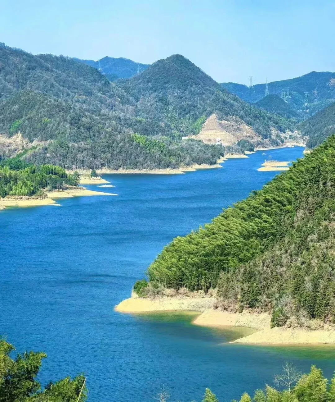 春季福利!4月江浙沪皖6条自驾游线路,人间值得,赶紧规划!