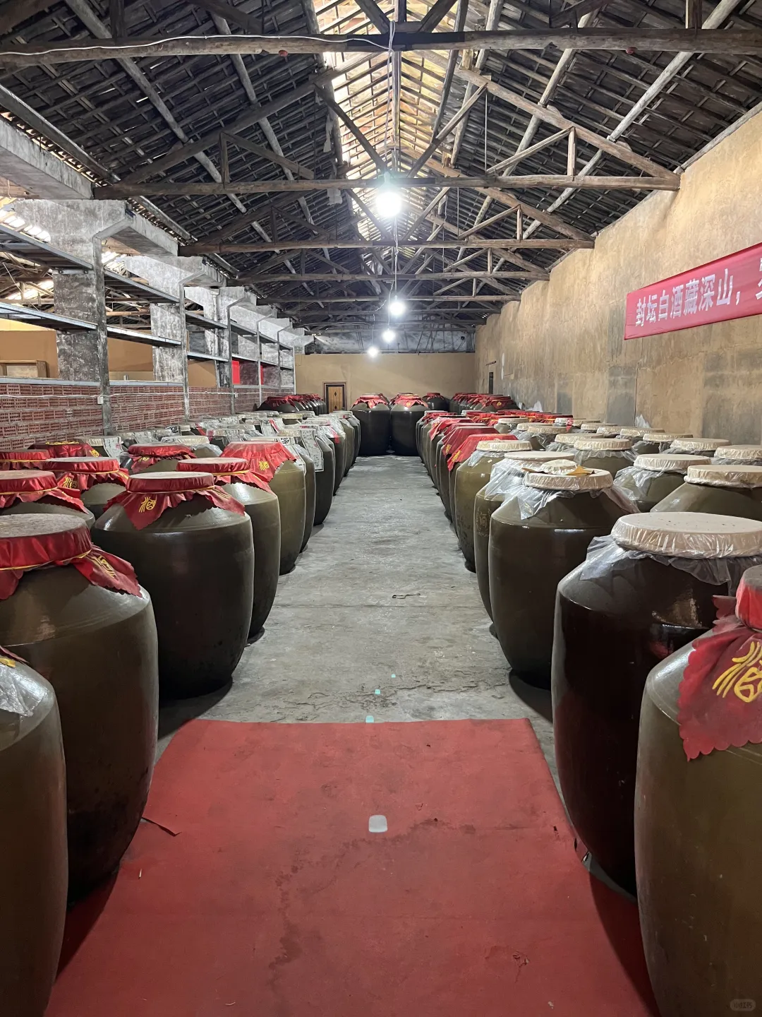 00后创业之勇闯白酒行业！