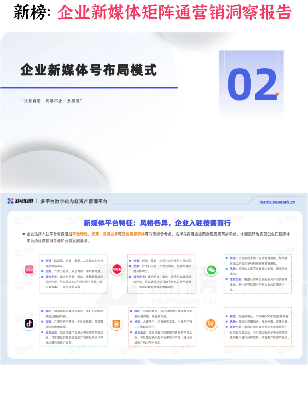 ?企业新媒体矩阵通营销洞察报告