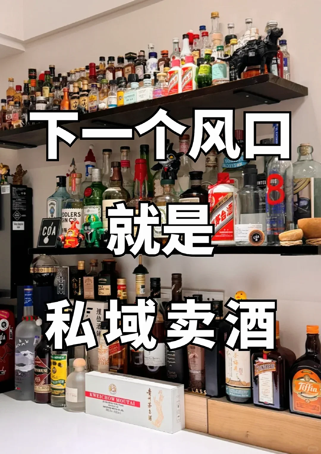 私域卖酒八个月做了600万