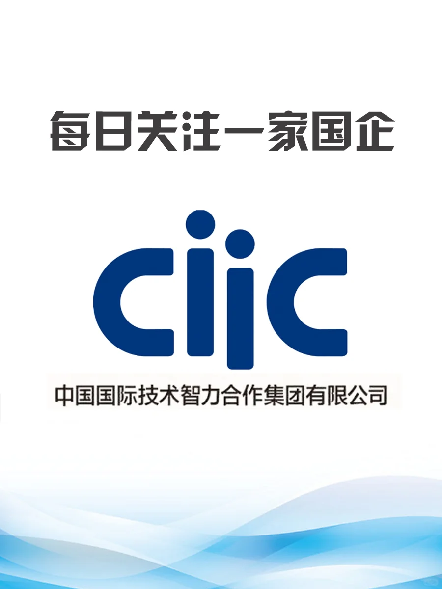 中国国际技术智力合作集团有限公司