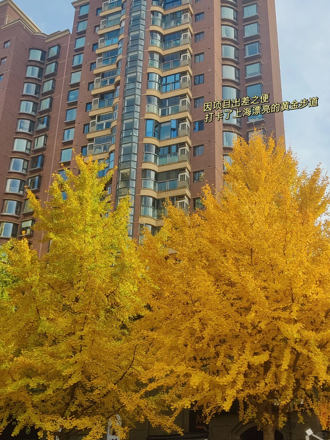 快速成长的应届生“小众”行业选择：企培