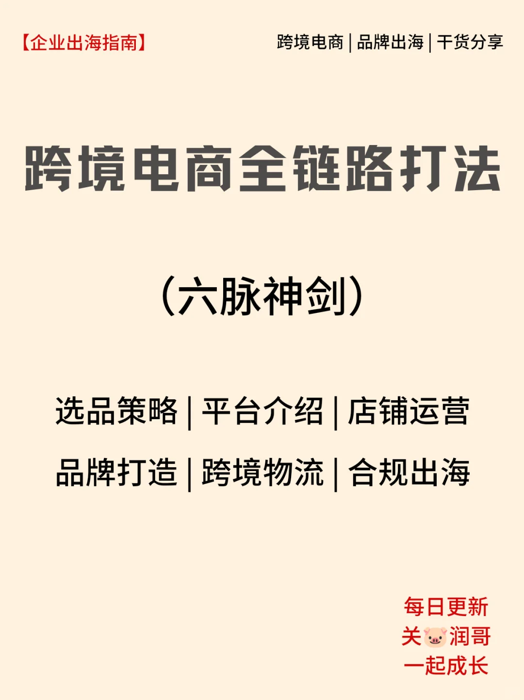 2024跨境电商10大龙头企业