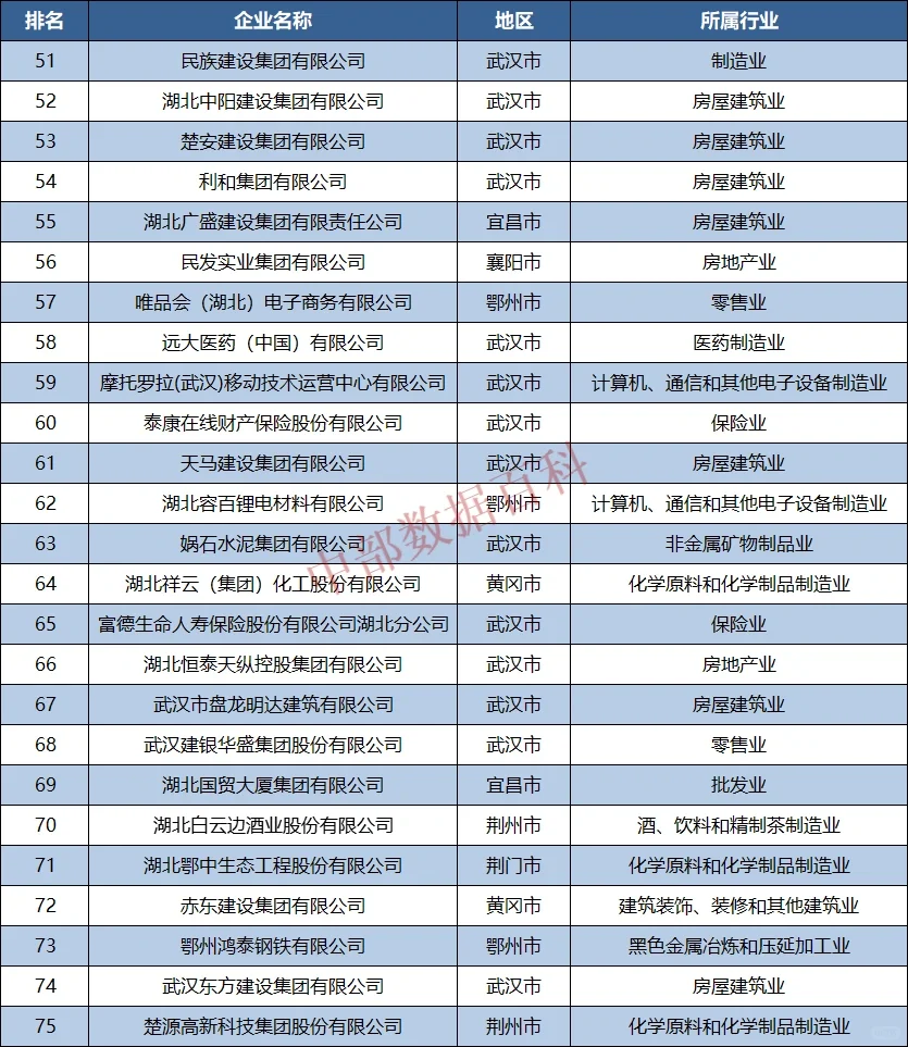 2022年湖北省民营企业100强榜单公布！