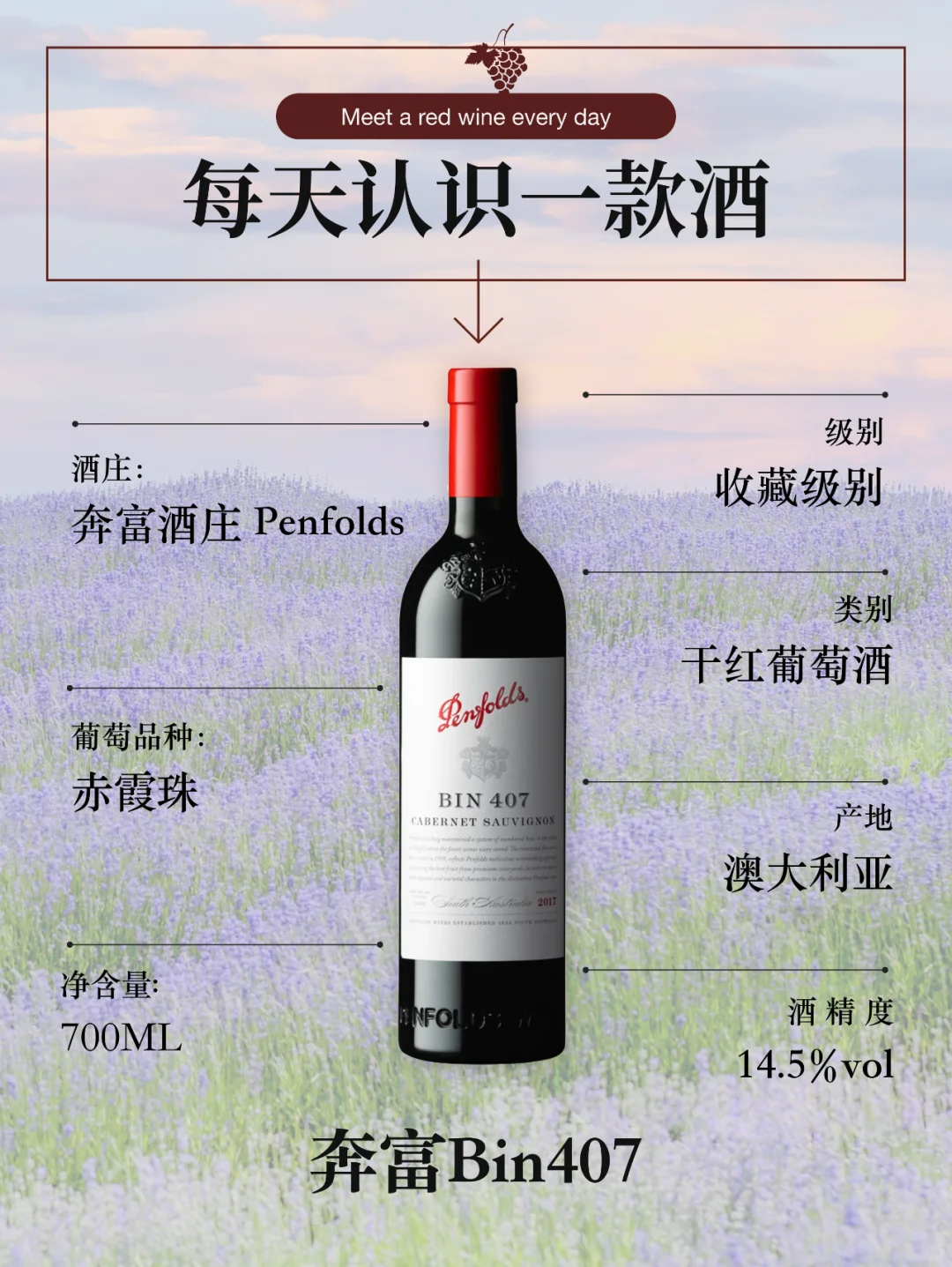 每天认识一款酒—奔富Bin407