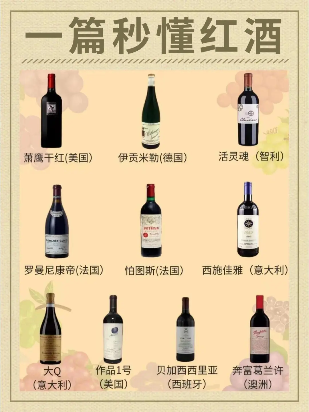 不懂红酒？看这里，秒变资深玩家！