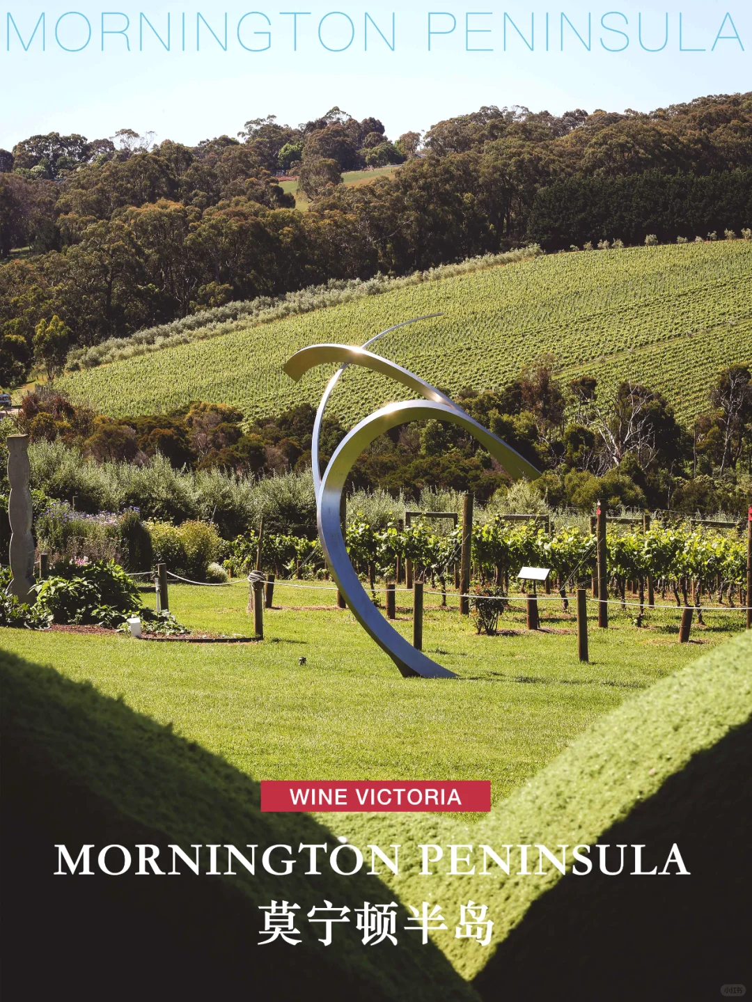维多利亚州著名葡萄酒产区盘点 1️⃣