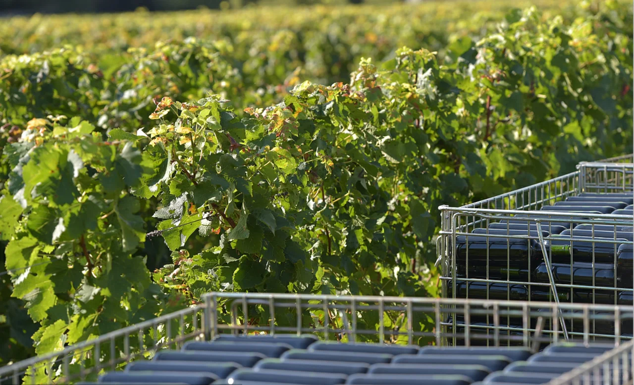 百锐国际，开工大吉！