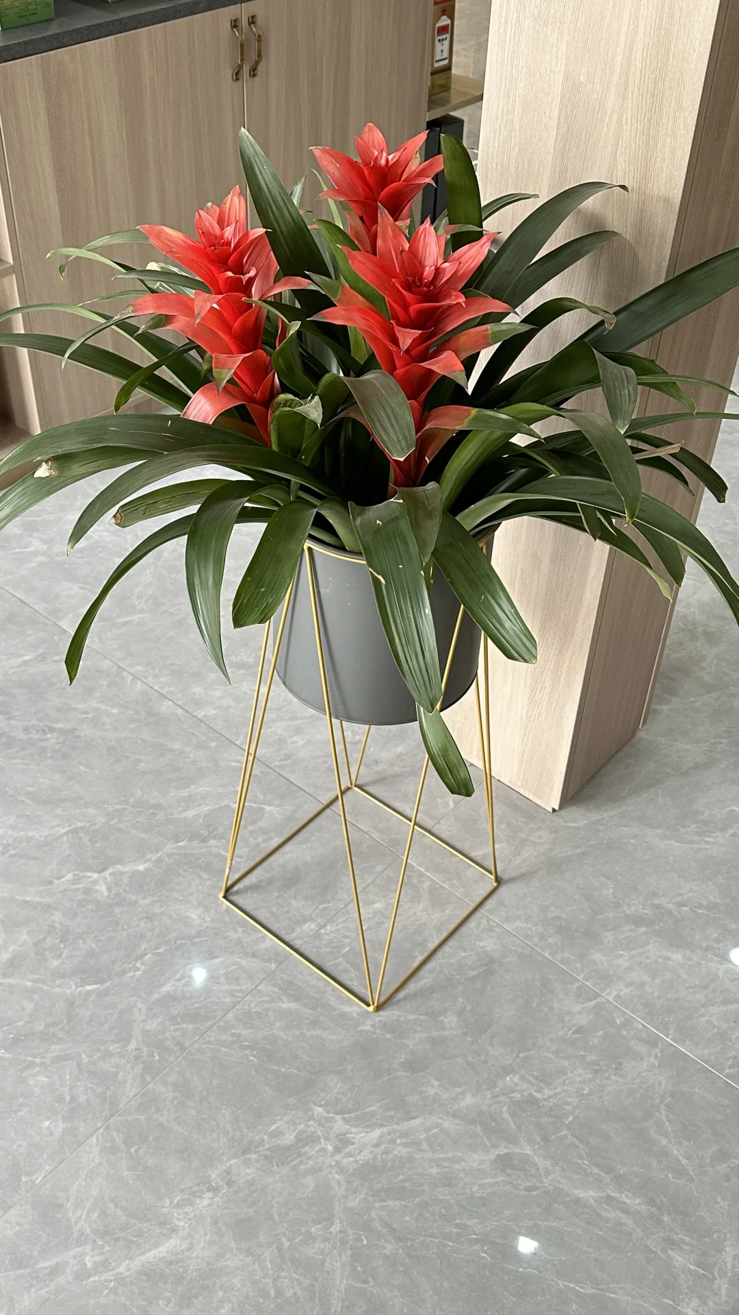 解锁烟酒茶店新格调，优木居展柜来助力✨