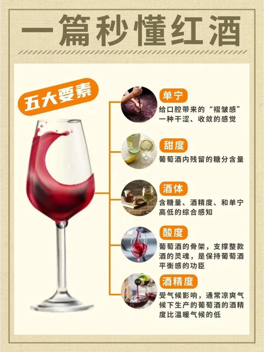 不懂红酒？看这里，秒变资深玩家！