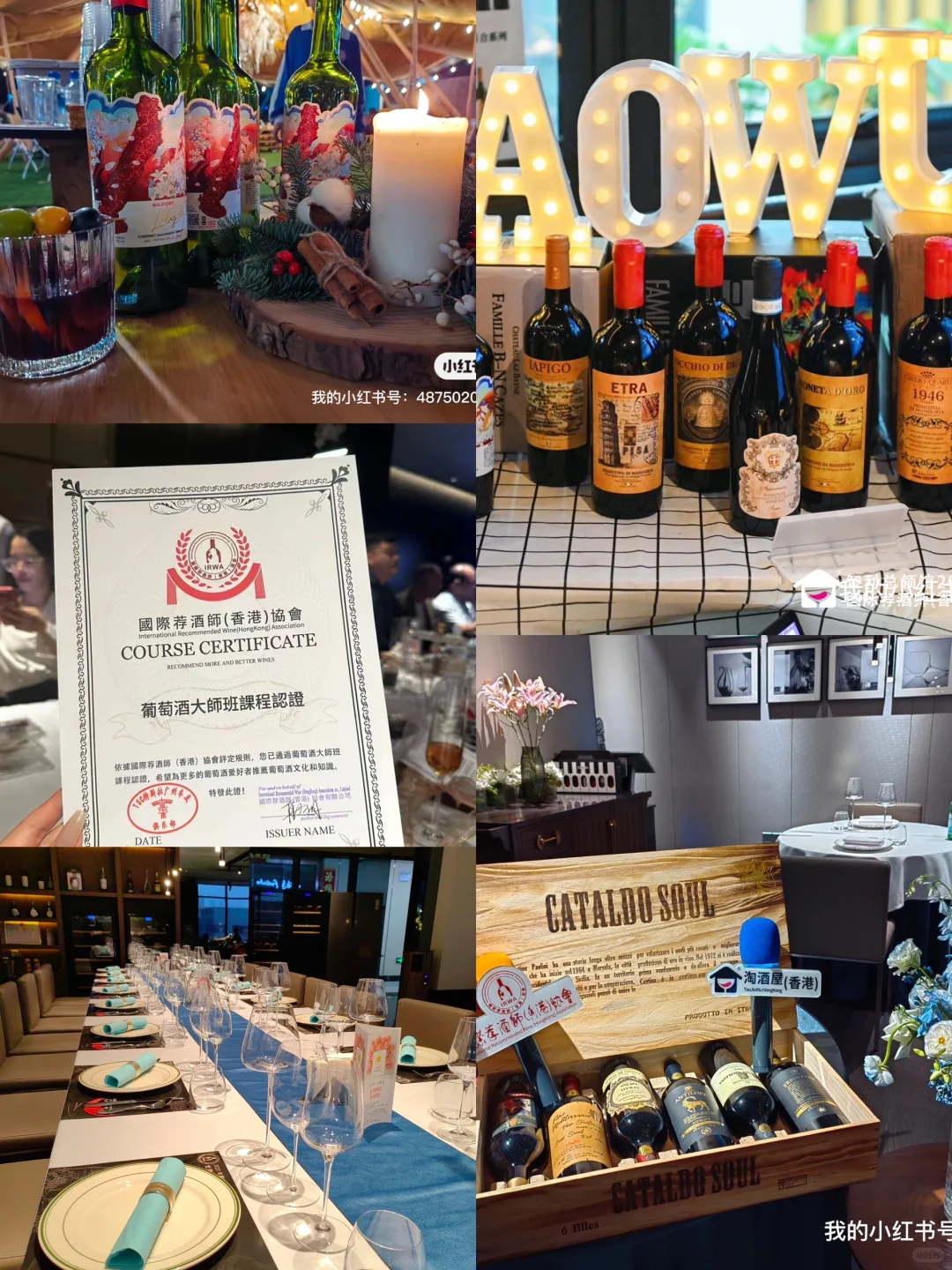 葡萄酒品鉴会OMG? 这里火爆了❗