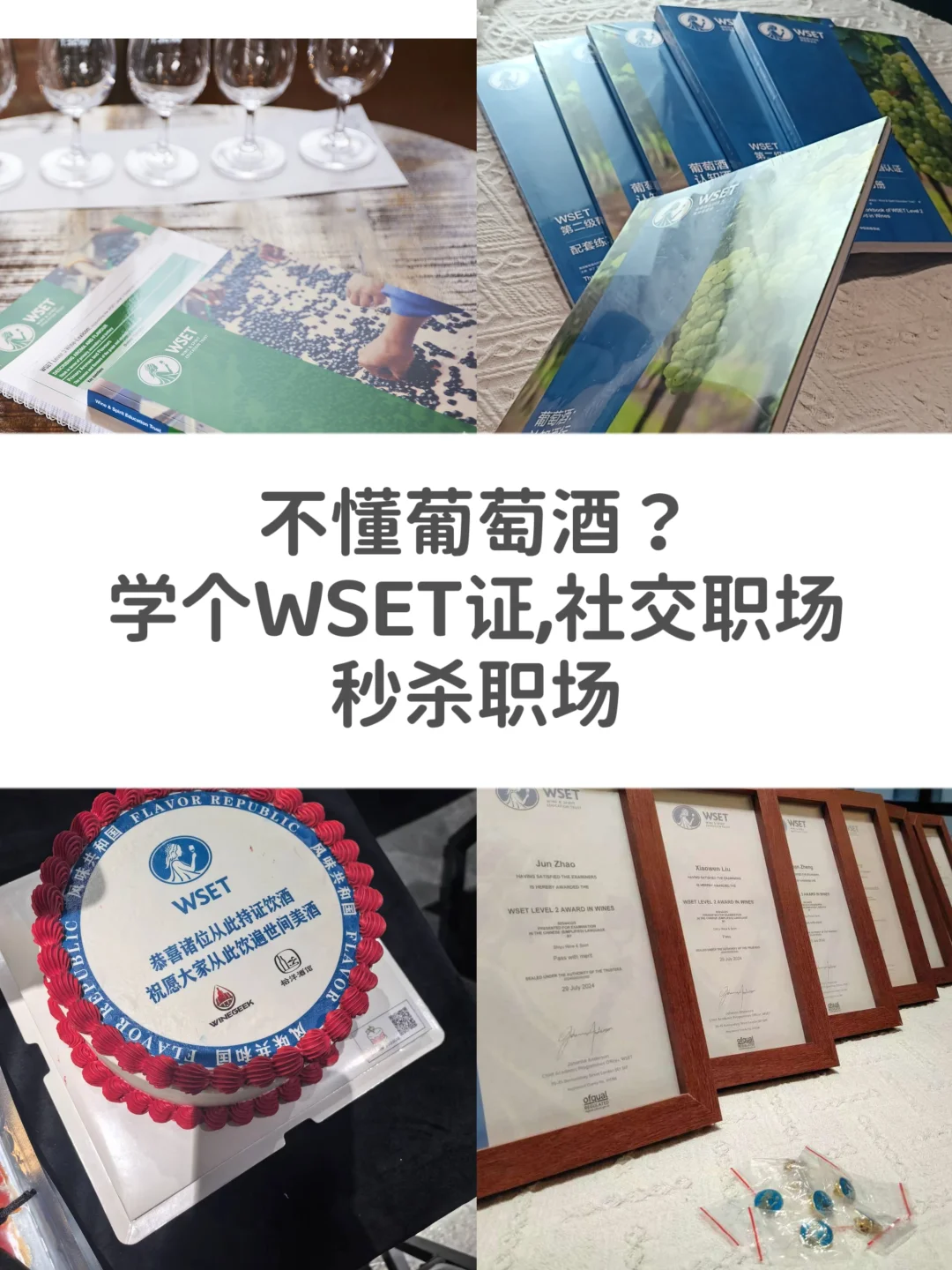 全球认可的WSET认证课学完秒变葡萄酒达人