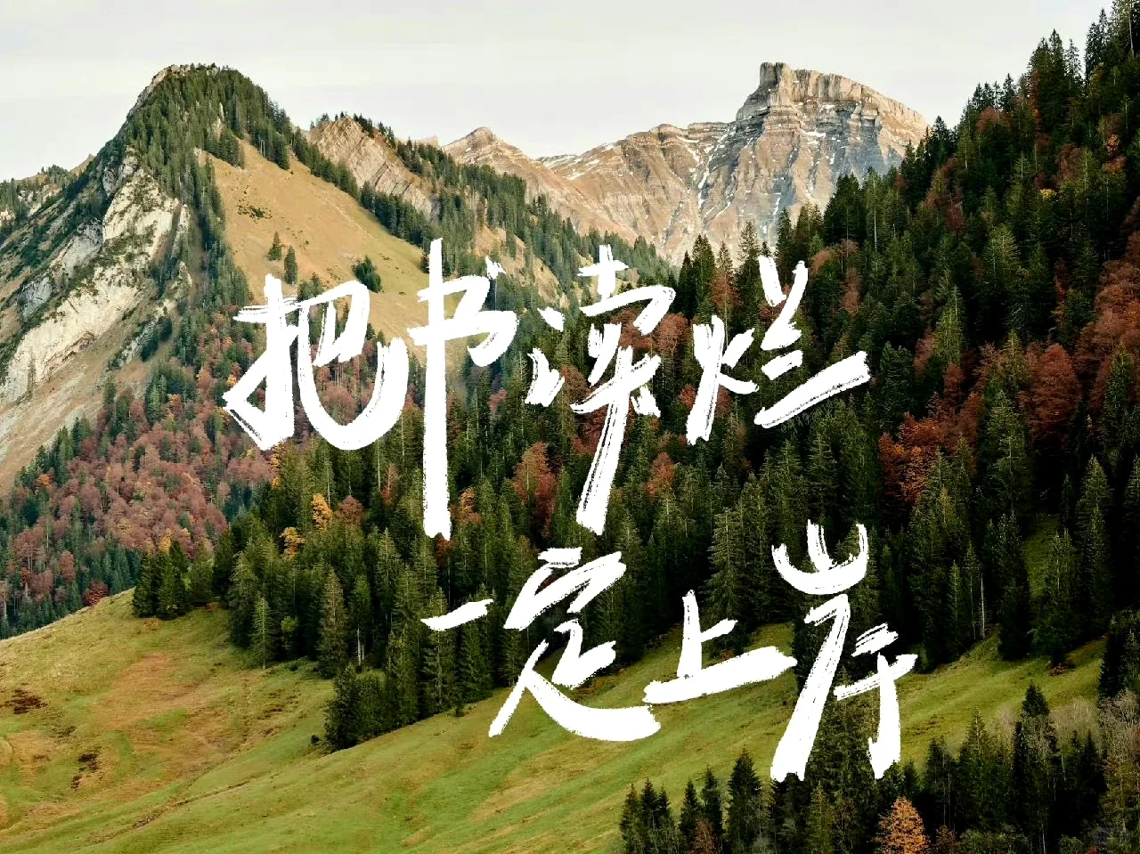 适合考研人的平板壁纸