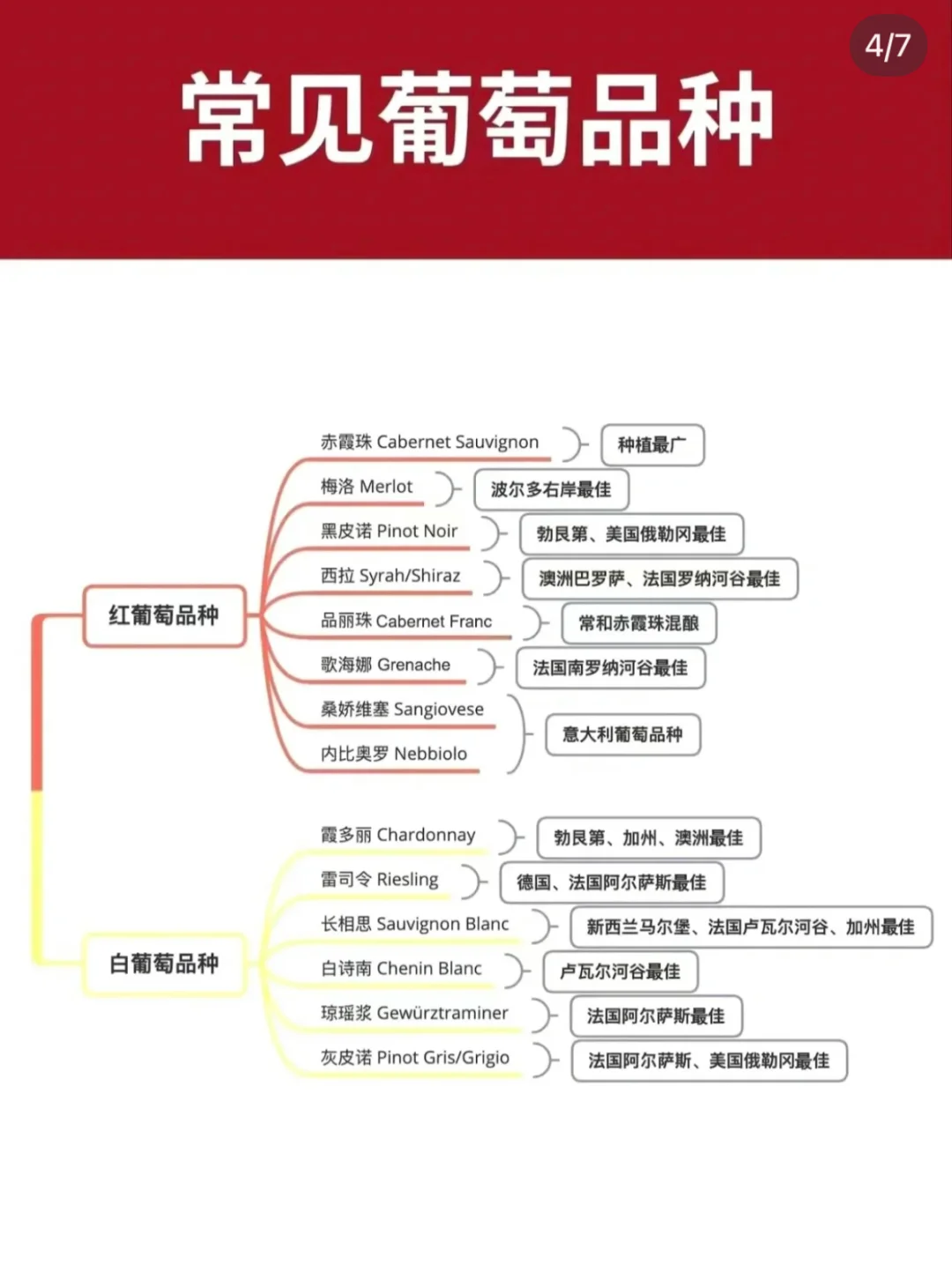1分钟带你快速入门葡萄酒知识，赶紧码住！