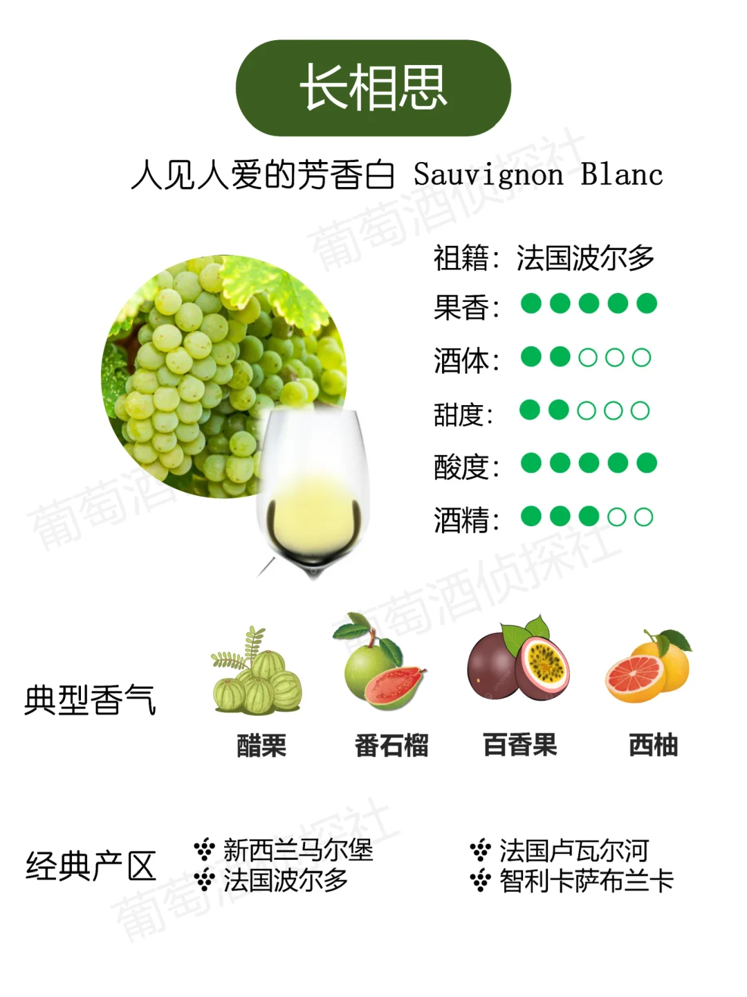 纯干货❗这些品种，涵盖了市面90%的酒