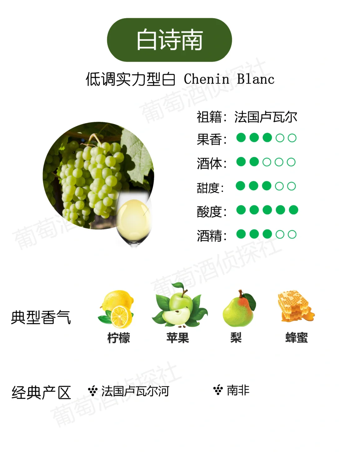 纯干货❗这些品种，涵盖了市面90%的酒