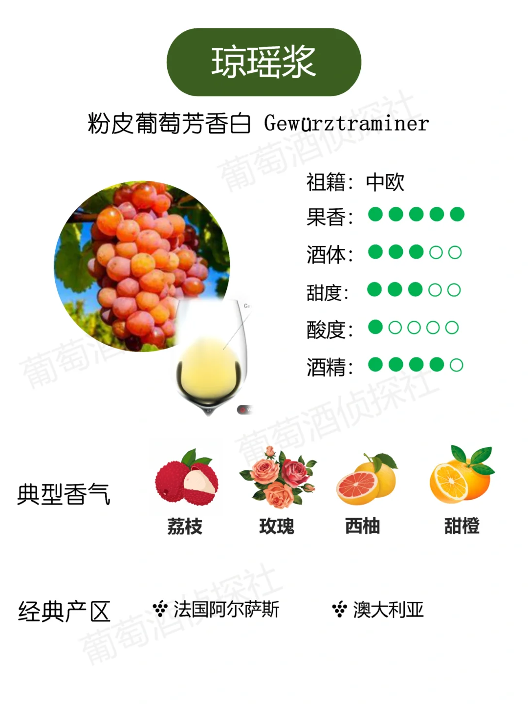 纯干货❗这些品种，涵盖了市面90%的酒