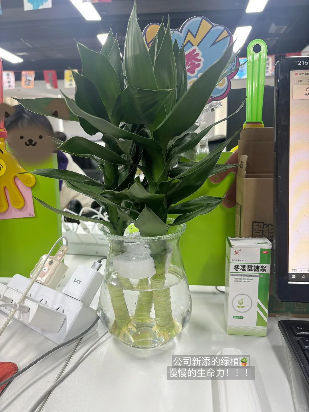 Plog?|应届生做自媒体三个月可以赚多少米