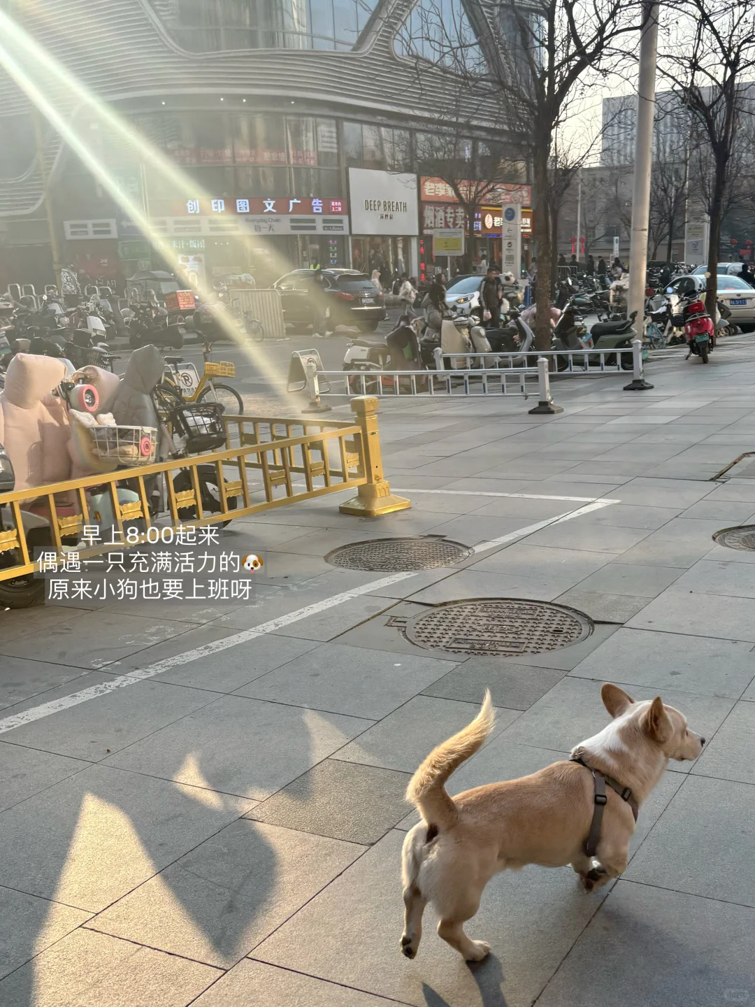 Plog?|应届生做自媒体三个月可以赚多少米