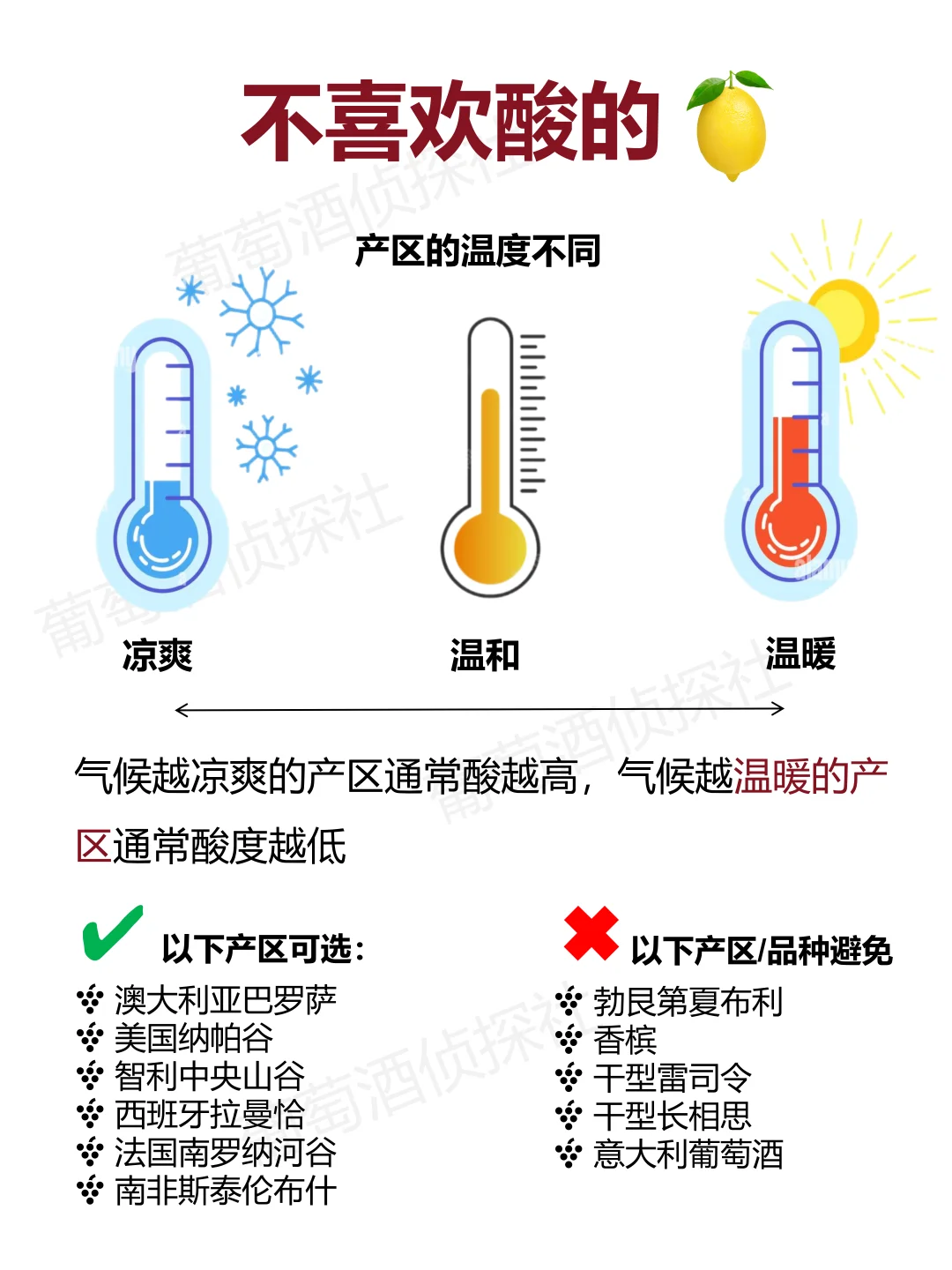 红酒小白必看，一篇学会快速找到喜欢的酒
