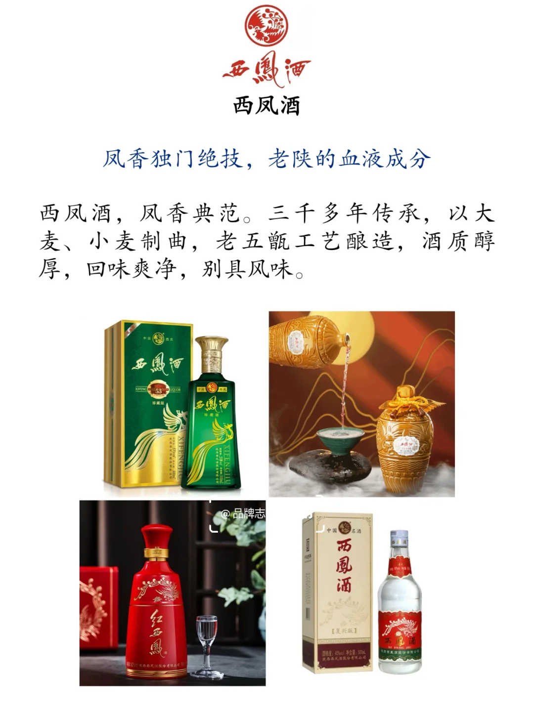 ?中国十大名酒盘点|酒鬼女孩必看!