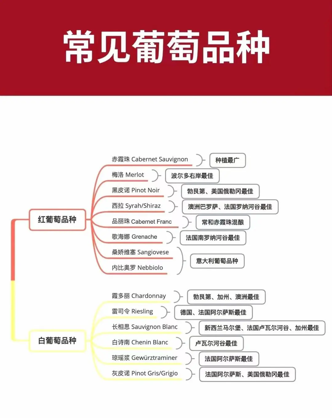 秒懂葡萄酒入门知识，成为品酒高手也不难！