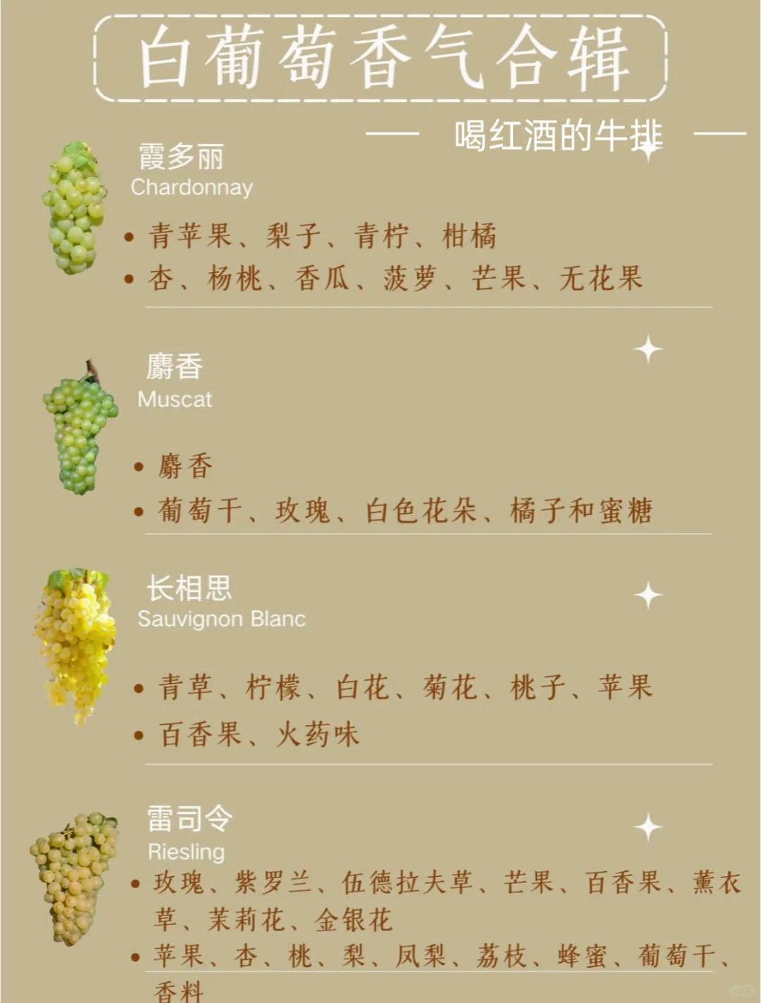 一张图搞懂16种酿酒葡萄香气✨葡萄酒小白必